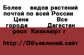 Более200 видов растений почтой по всей России › Цена ­ 100-500 - Все города  »    . Дагестан респ.,Кизилюрт г.